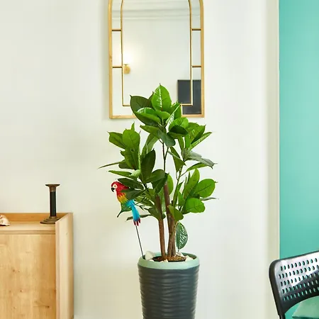 Sofia Promenada D9 Plaja