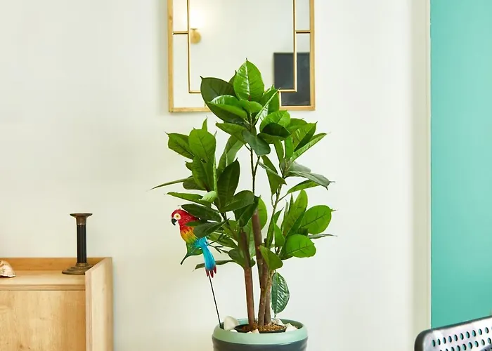 Sofia Promenada D9 Plaja